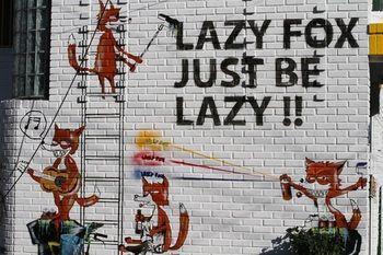 Hongdae Lazy Fox In Seoul